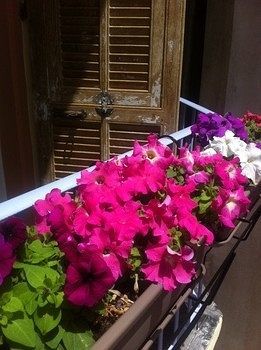 Hostel Altea Nice Ngoại thất bức ảnh